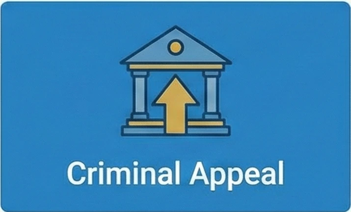 criminal appeal